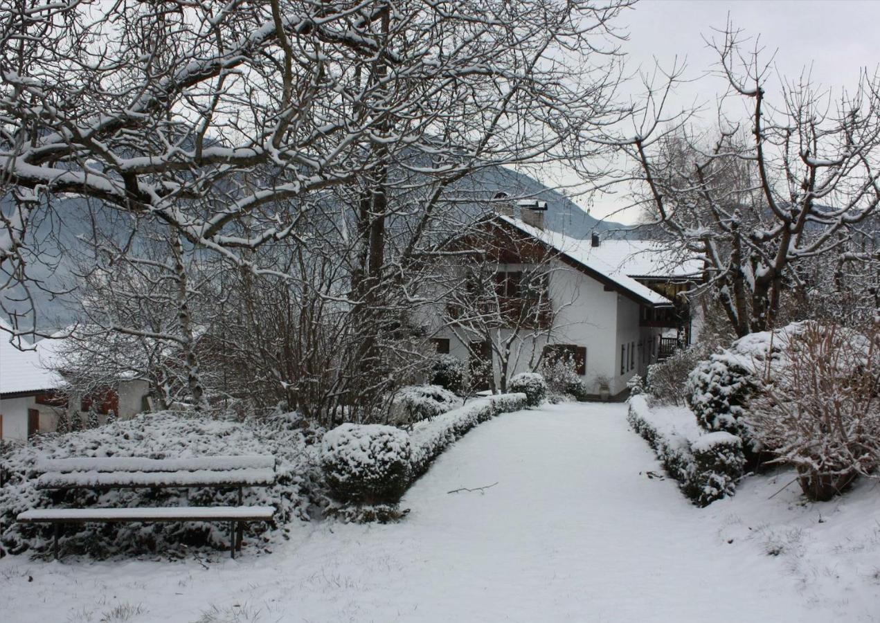 Obertoergglerhof Apartment Бресаноне Екстериор снимка